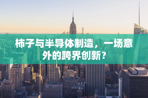 柿子与半导体制造，一场意外的跨界创新？