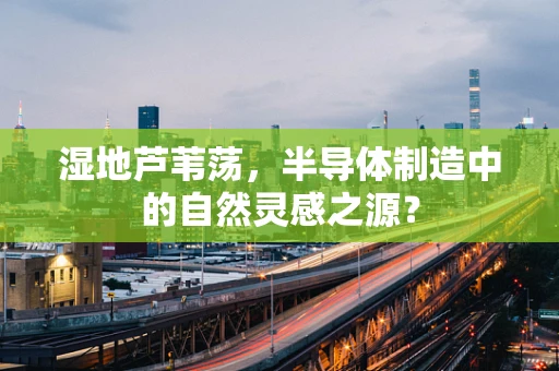 湿地芦苇荡，半导体制造中的自然灵感之源？