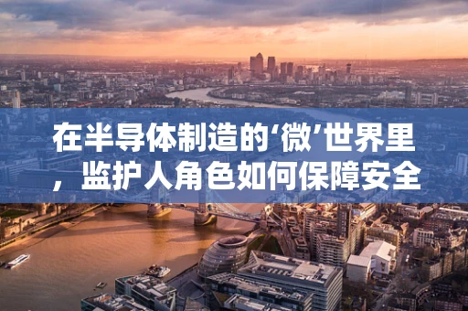 在半导体制造的‘微’世界里，监护人角色如何保障安全？