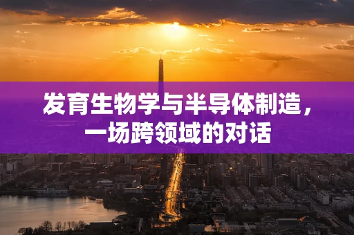 发育生物学与半导体制造，一场跨领域的对话