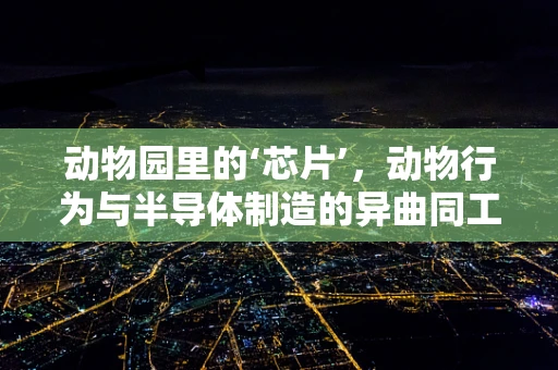 动物园里的‘芯片’，动物行为与半导体制造的异曲同工