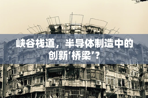 峡谷栈道，半导体制造中的创新‘桥梁’？