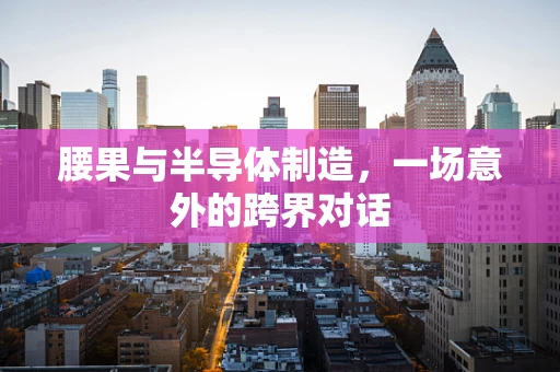 腰果与半导体制造，一场意外的跨界对话