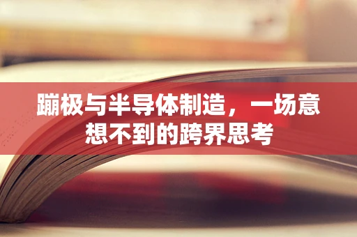 蹦极与半导体制造，一场意想不到的跨界思考