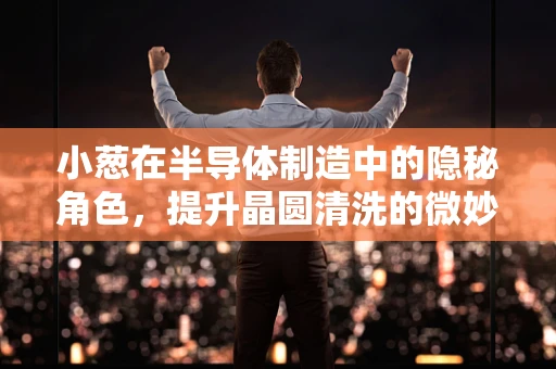 小葱在半导体制造中的隐秘角色，提升晶圆清洗的微妙力量