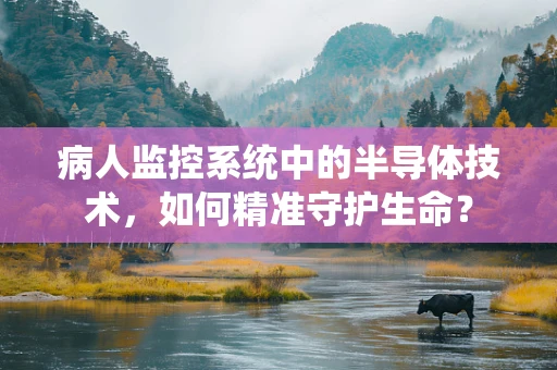 病人监控系统中的半导体技术，如何精准守护生命？