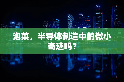 泡菜，半导体制造中的微小奇迹吗？