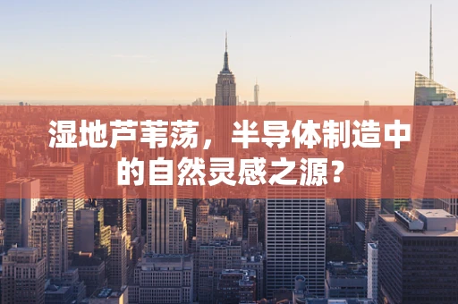 湿地芦苇荡，半导体制造中的自然灵感之源？