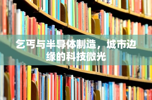乞丐与半导体制造，城市边缘的科技微光