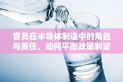 官员在半导体制造中的角色与责任，如何平衡政策制定与行业创新？