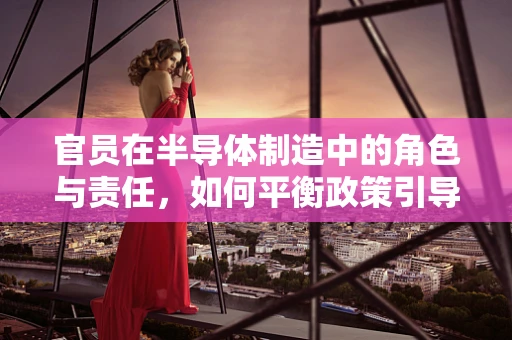 官员在半导体制造中的角色与责任，如何平衡政策引导与市场效率？