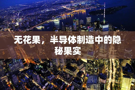 无花果，半导体制造中的隐秘果实