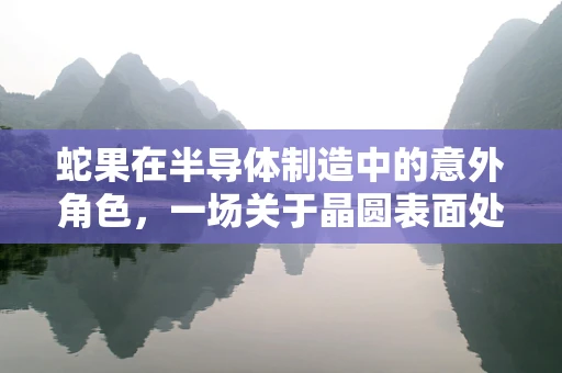 蛇果在半导体制造中的意外角色，一场关于晶圆表面处理的奇妙比喻？