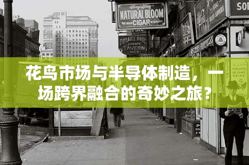 花鸟市场与半导体制造，一场跨界融合的奇妙之旅？