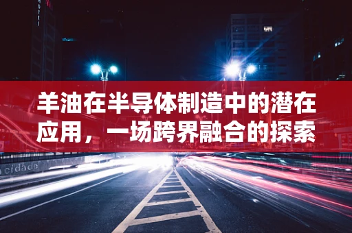 羊油在半导体制造中的潜在应用，一场跨界融合的探索