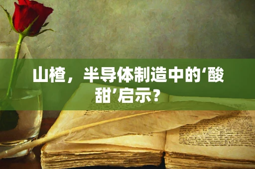 山楂，半导体制造中的‘酸甜’启示？
