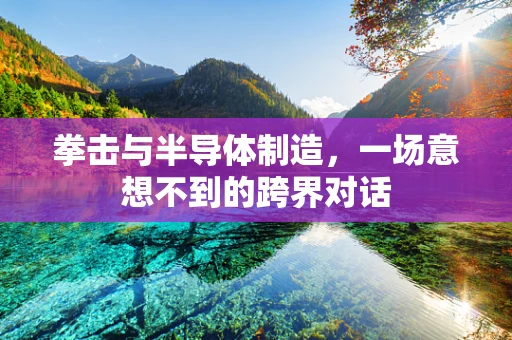 拳击与半导体制造，一场意想不到的跨界对话