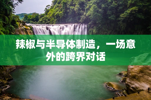辣椒与半导体制造，一场意外的跨界对话