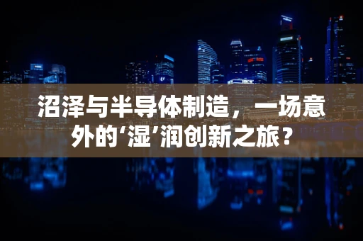 沼泽与半导体制造，一场意外的‘湿’润创新之旅？