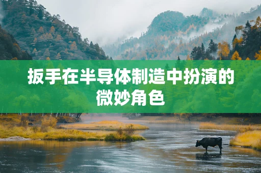 扳手在半导体制造中扮演的微妙角色