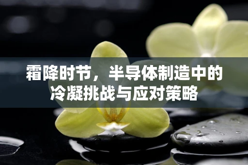 霜降时节，半导体制造中的冷凝挑战与应对策略