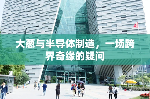 大葱与半导体制造，一场跨界奇缘的疑问