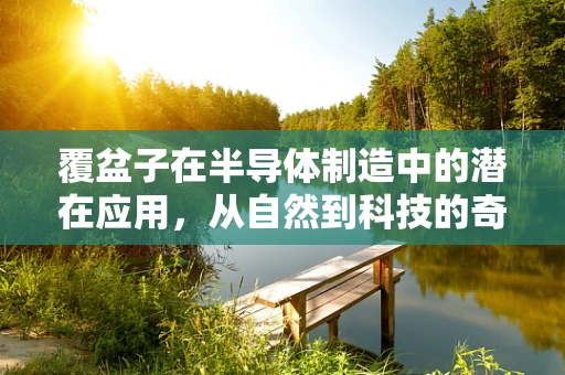 覆盆子在半导体制造中的潜在应用，从自然到科技的奇妙融合