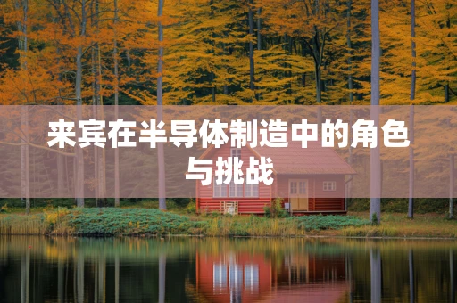 来宾在半导体制造中的角色与挑战