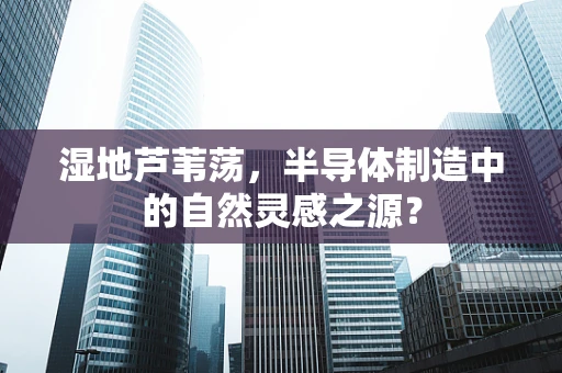 湿地芦苇荡，半导体制造中的自然灵感之源？