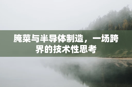 腌菜与半导体制造，一场跨界的技术性思考