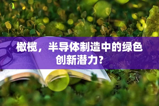 橄榄，半导体制造中的绿色创新潜力？