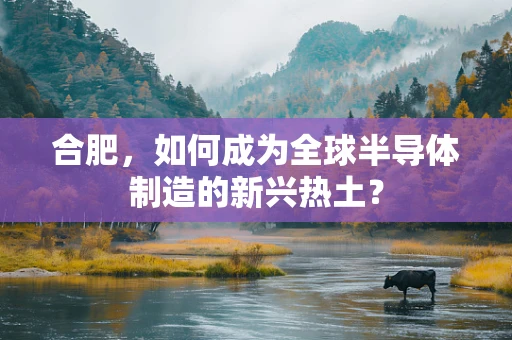 合肥，如何成为全球半导体制造的新兴热土？