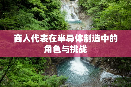 商人代表在半导体制造中的角色与挑战