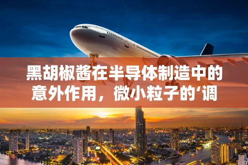 黑胡椒酱在半导体制造中的意外作用，微小粒子的‘调味剂’？