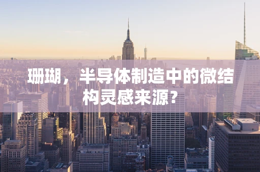 珊瑚，半导体制造中的微结构灵感来源？