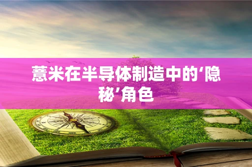 薏米在半导体制造中的‘隐秘’角色
