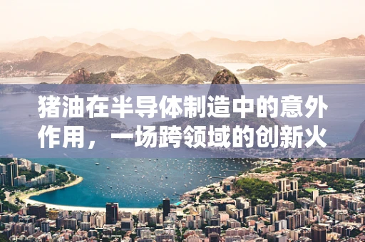 猪油在半导体制造中的意外作用，一场跨领域的创新火花？