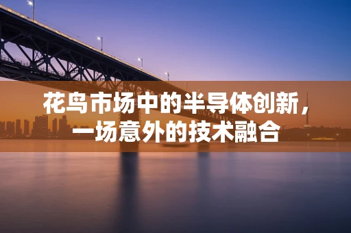 花鸟市场中的半导体创新，一场意外的技术融合