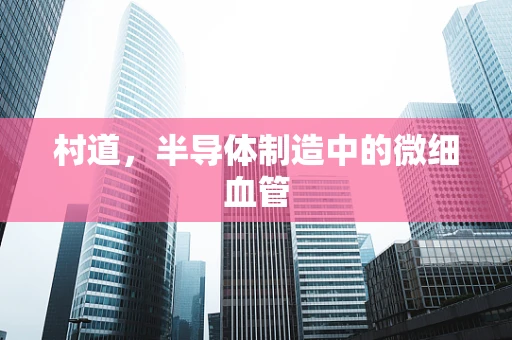 村道，半导体制造中的微细血管