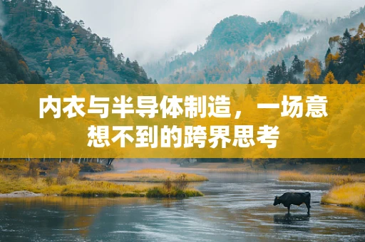 内衣与半导体制造，一场意想不到的跨界思考