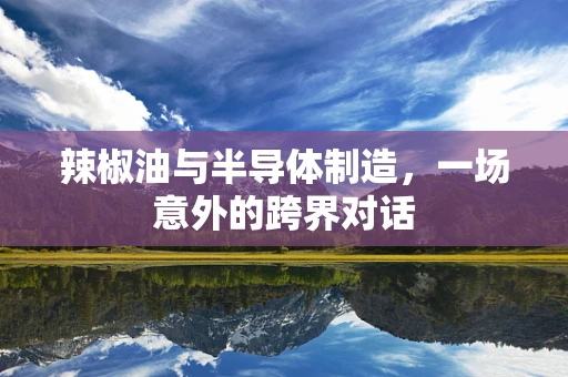 辣椒油与半导体制造，一场意外的跨界对话
