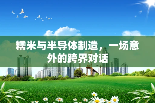 糯米与半导体制造，一场意外的跨界对话