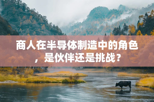 商人在半导体制造中的角色，是伙伴还是挑战？