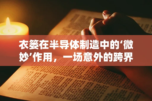 衣篓在半导体制造中的‘微妙’作用，一场意外的跨界应用？