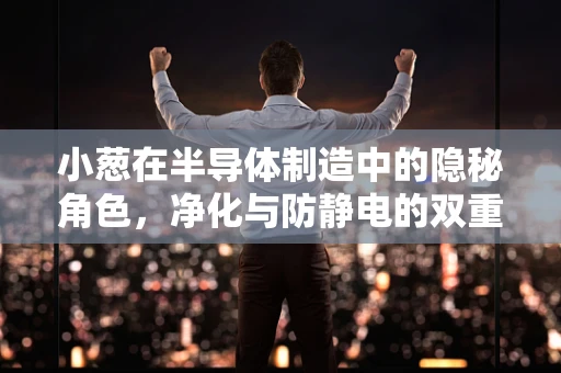 小葱在半导体制造中的隐秘角色，净化与防静电的双重使命？