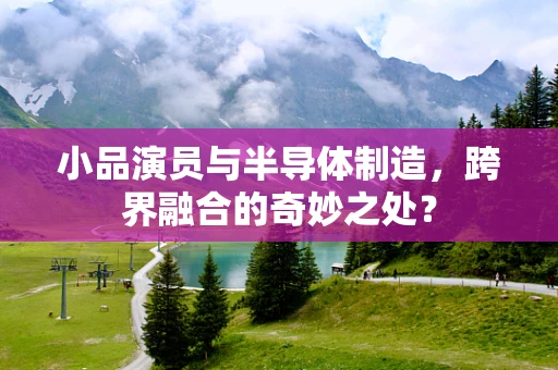 小品演员与半导体制造，跨界融合的奇妙之处？