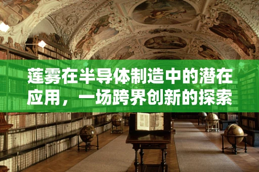莲雾在半导体制造中的潜在应用，一场跨界创新的探索