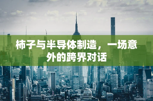 柿子与半导体制造，一场意外的跨界对话