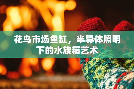花鸟市场鱼缸，半导体照明下的水族箱艺术