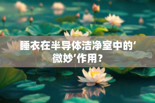 睡衣在半导体洁净室中的‘微妙’作用？